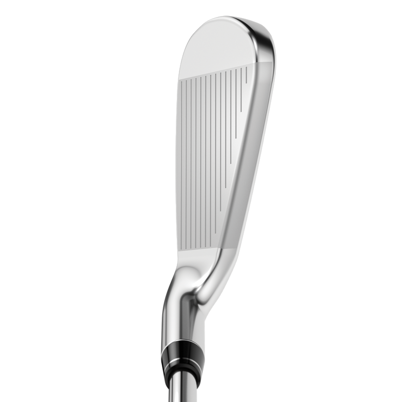 Apex DCB 21 Irons - View 2