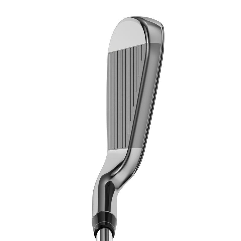 Big Bertha Irons - View 2