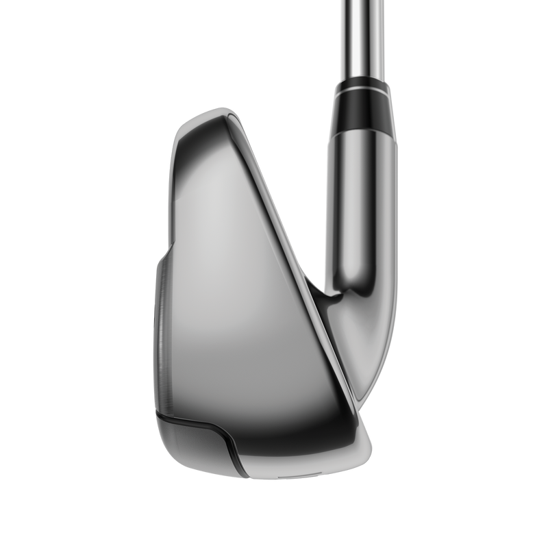 Big Bertha Irons - View 4