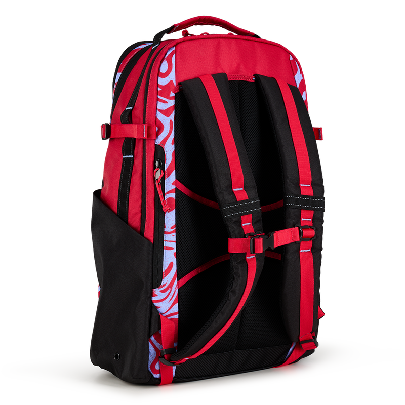 Alpha 25L Backpack - View 4