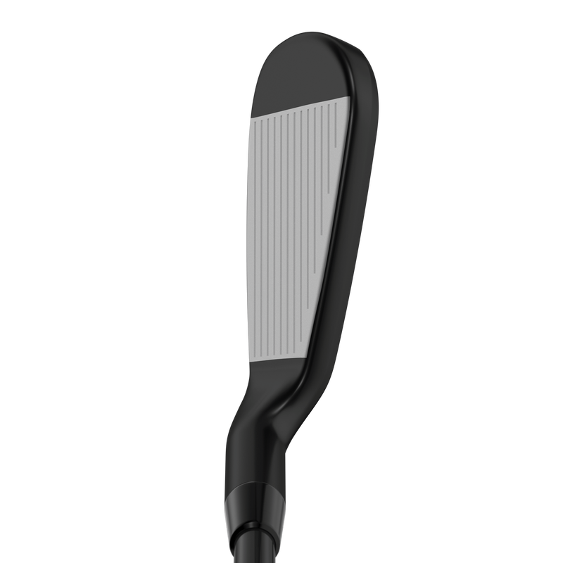 Apex Ai300 Black Shadow Irons - View 5