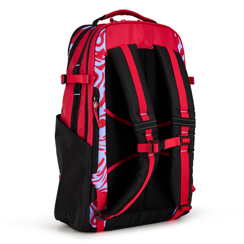 Alpha 25L Backpack '25 - View 4