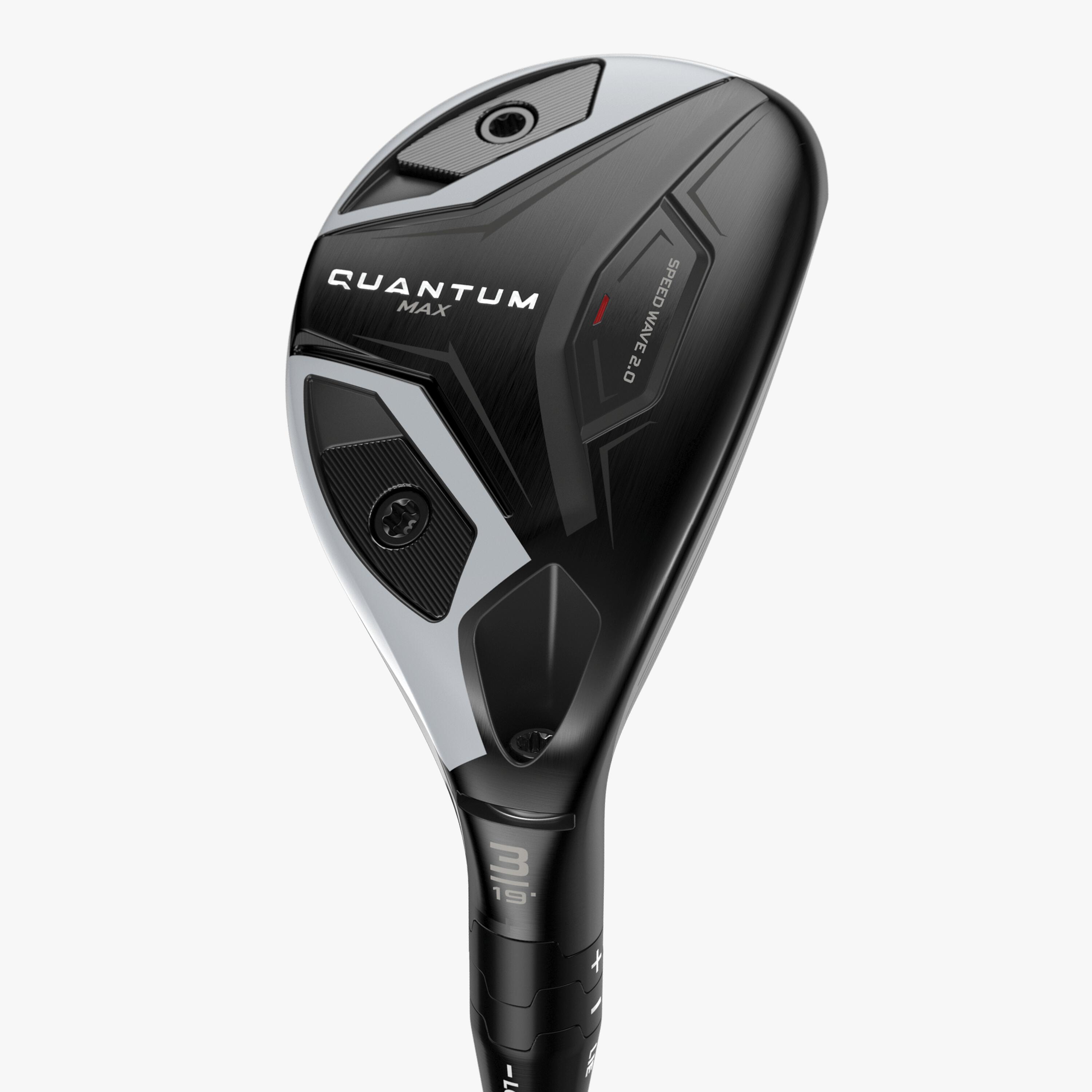 Quantum Max Hybrids Quantum Max Hybrids