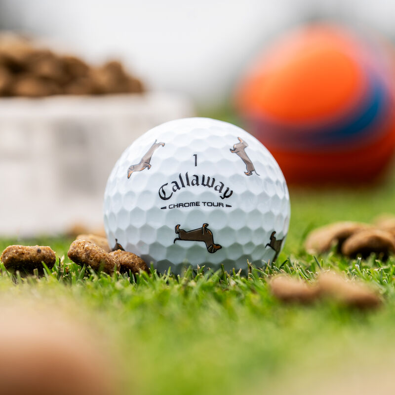 Chrome Tour Dachshund Dog Golf Balls - View 2