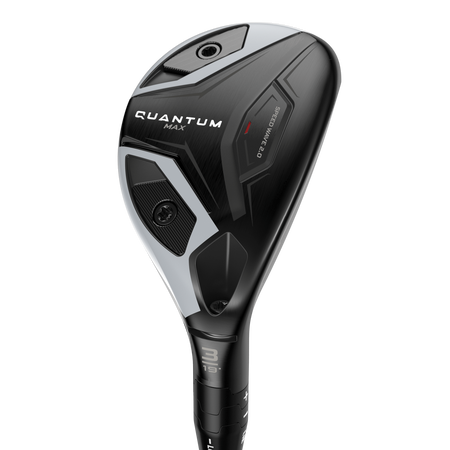 Quantum Max Hybrids