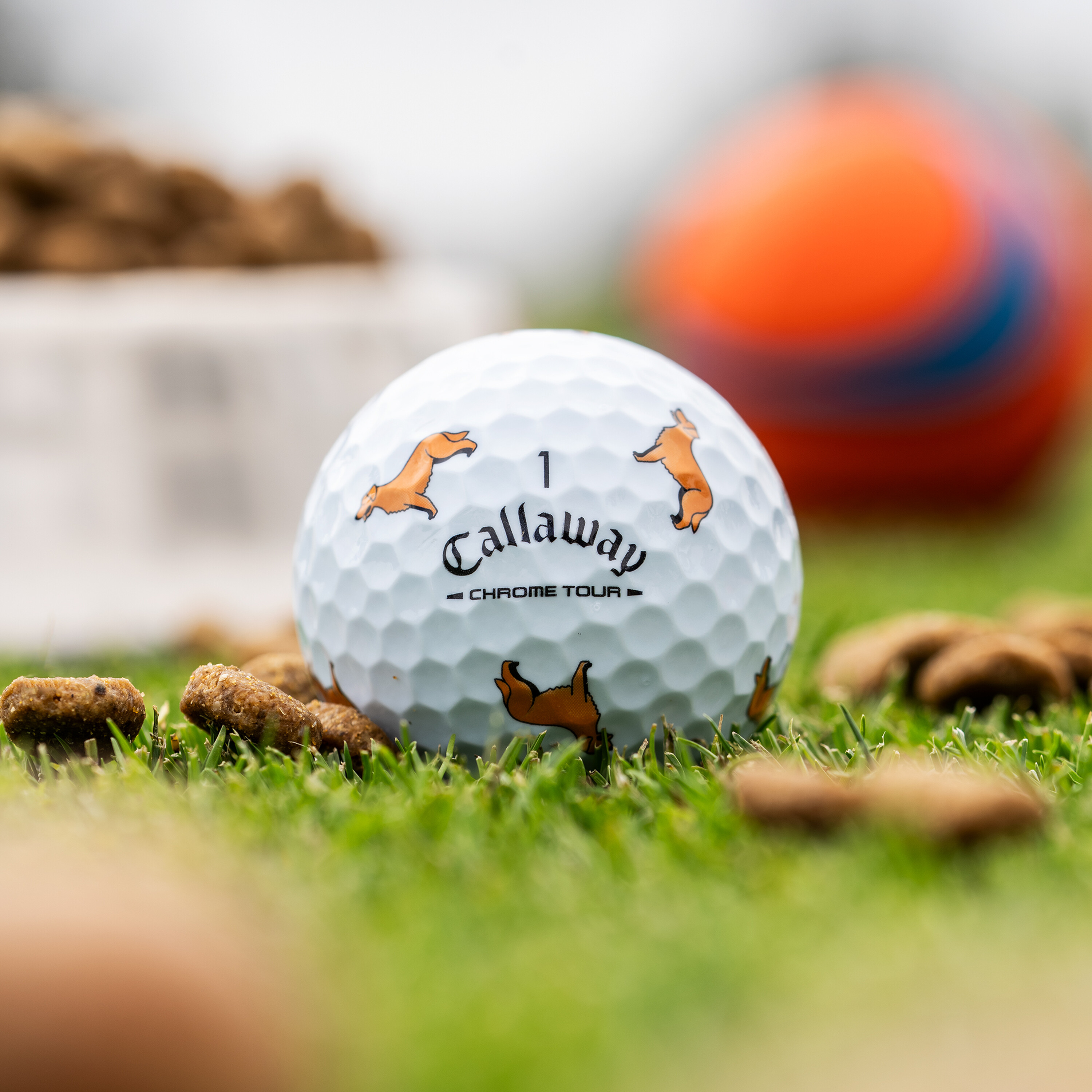 Chrome Tour Golden Retriever Dog Golf Balls image 2