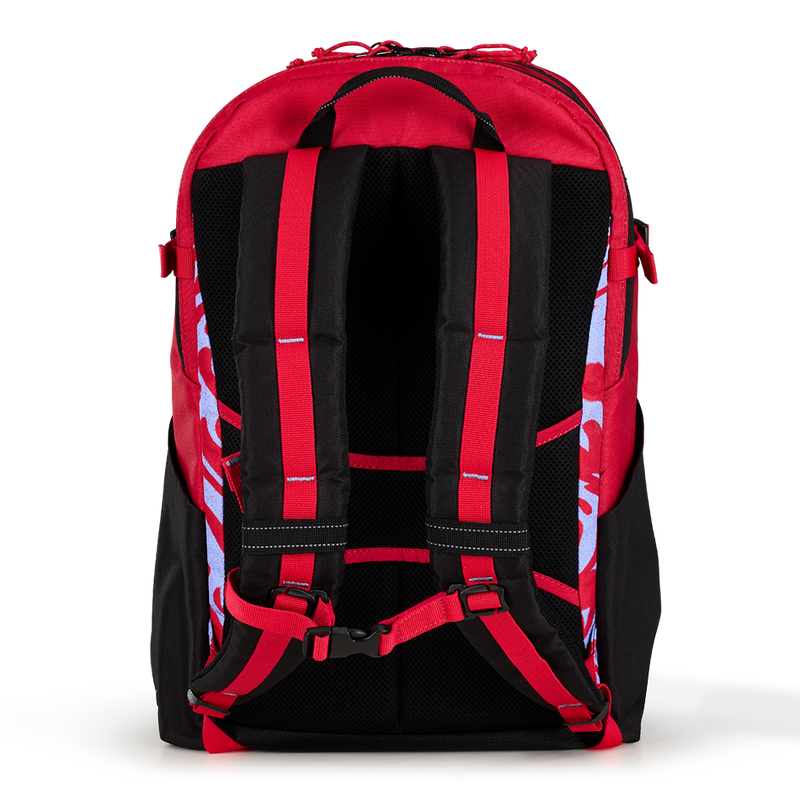 Alpha 20L Backpack '25 - View 4