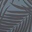 Black Palms
