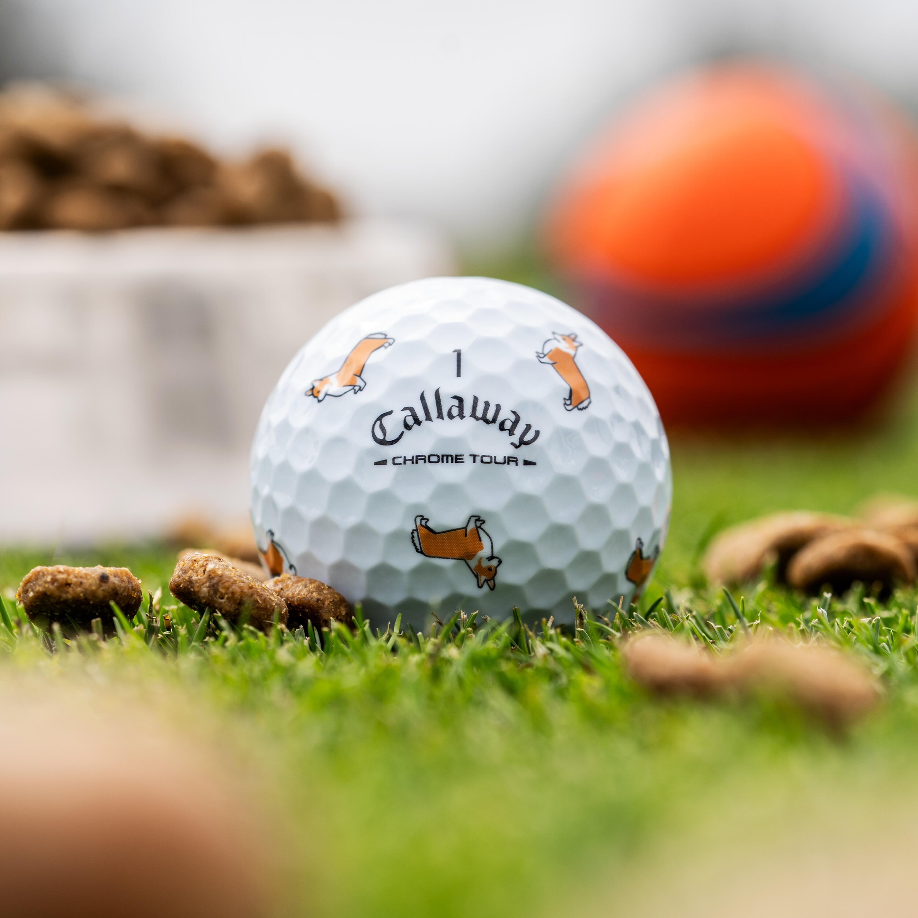 Chrome Tour Corgi Dog Golf Balls
