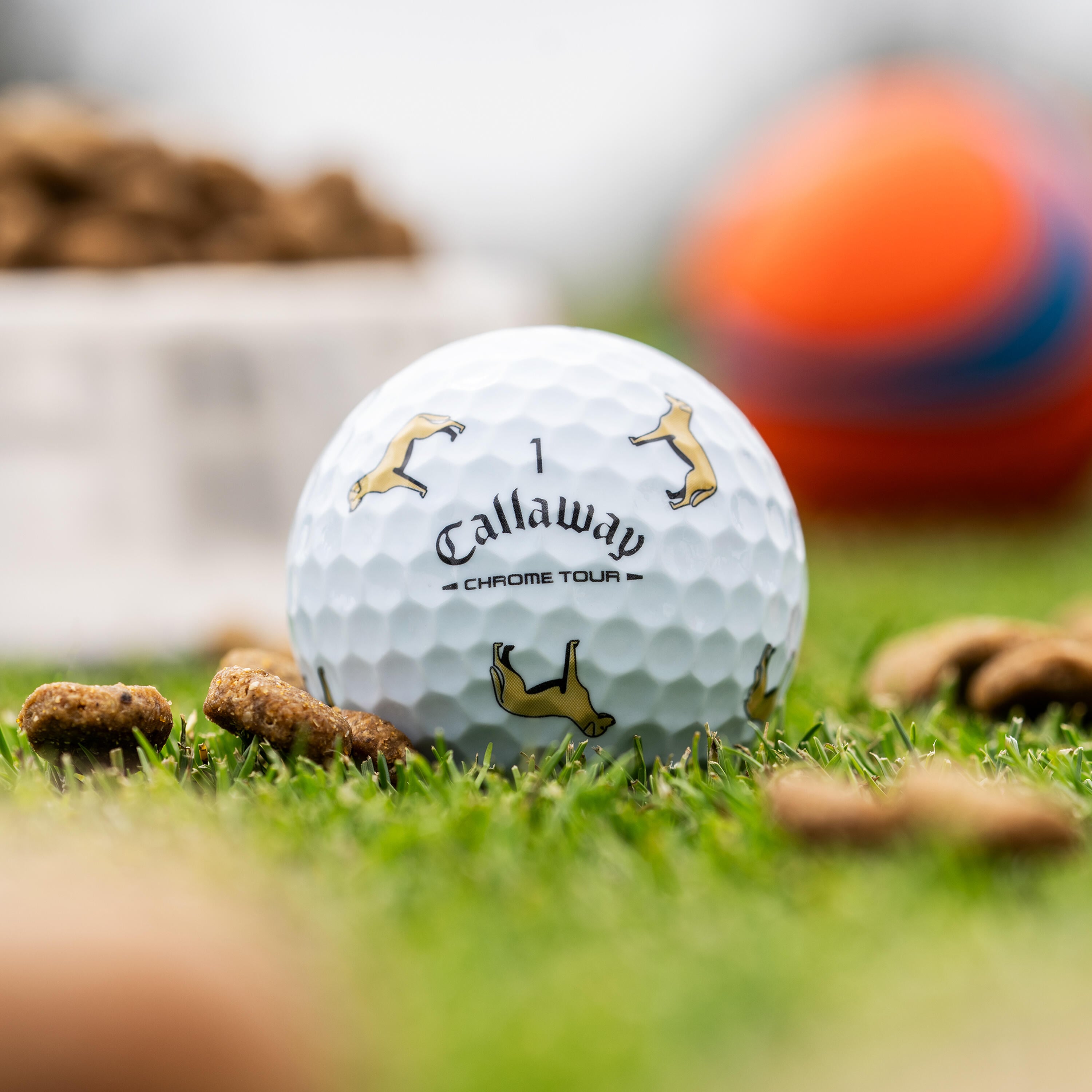 Chrome Tour Yellow Lab Dog Golf Balls
