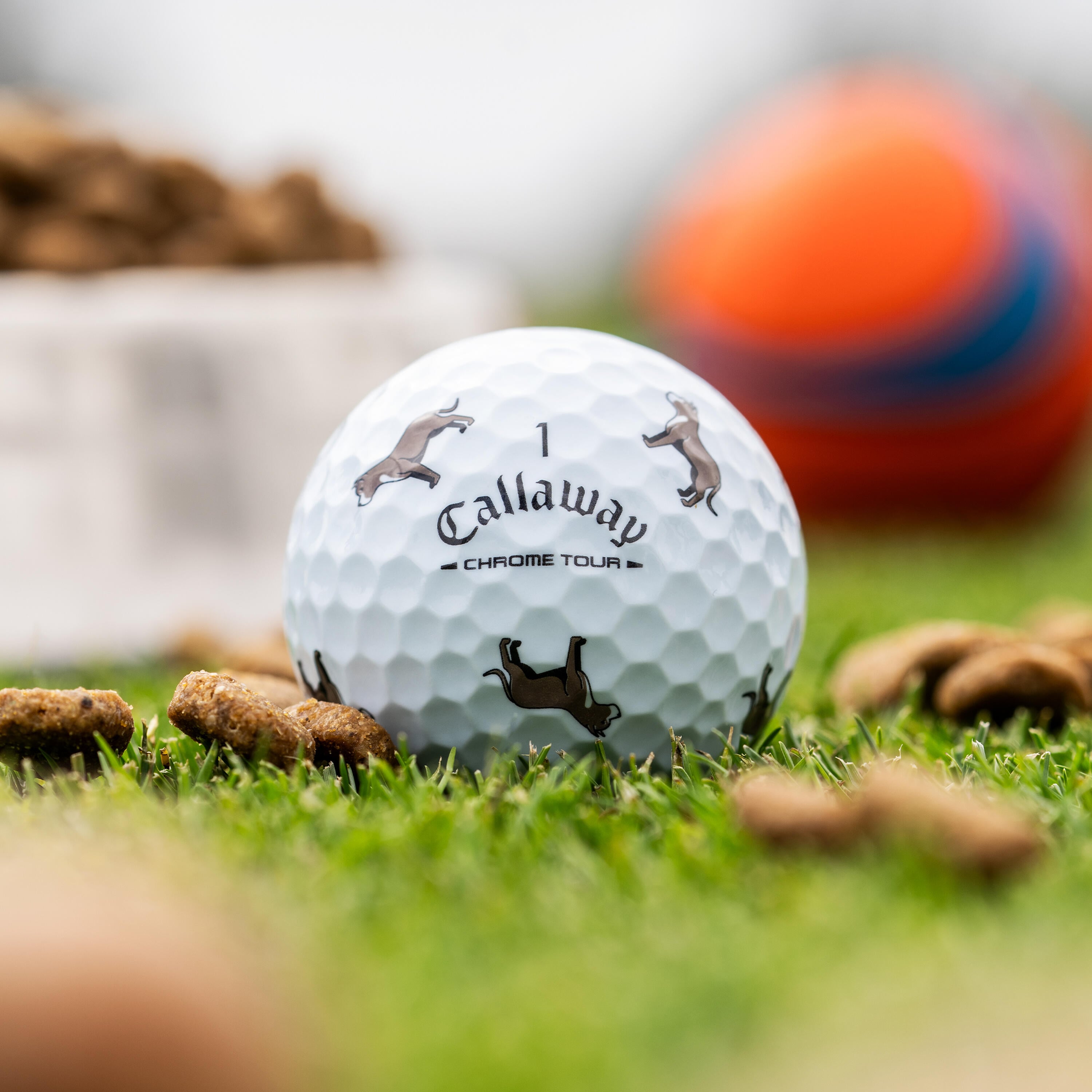 Chrome Tour Pit Bull Dog Golf Balls