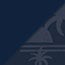 Navy/Sunset Palms