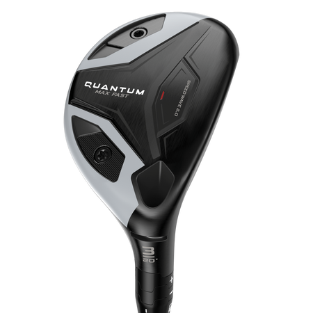 Quantum Max Fast Hybrids