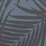 Black Palms