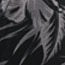 Black Tropical