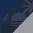 Navy/Sunset Palms/Silver