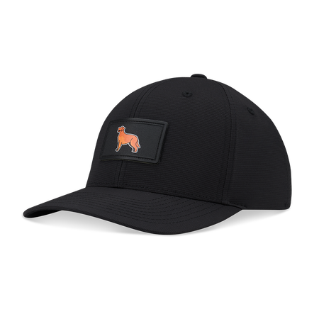 Golden Retriever Adjustable Hat