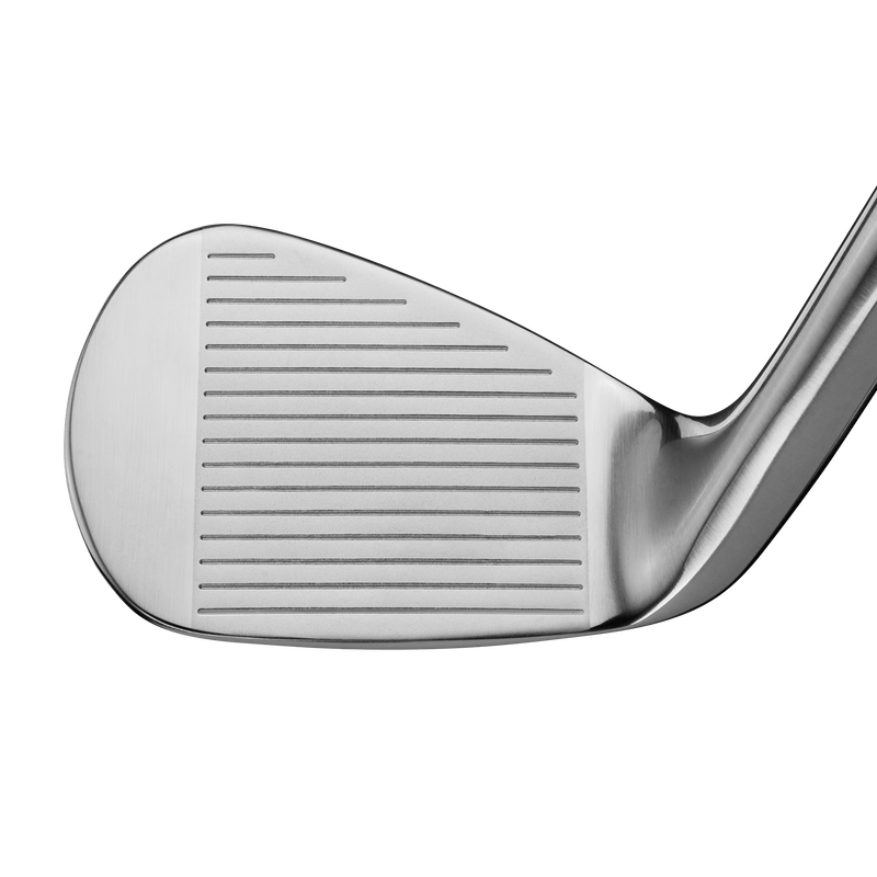 Quantum Max Wedges - View 3