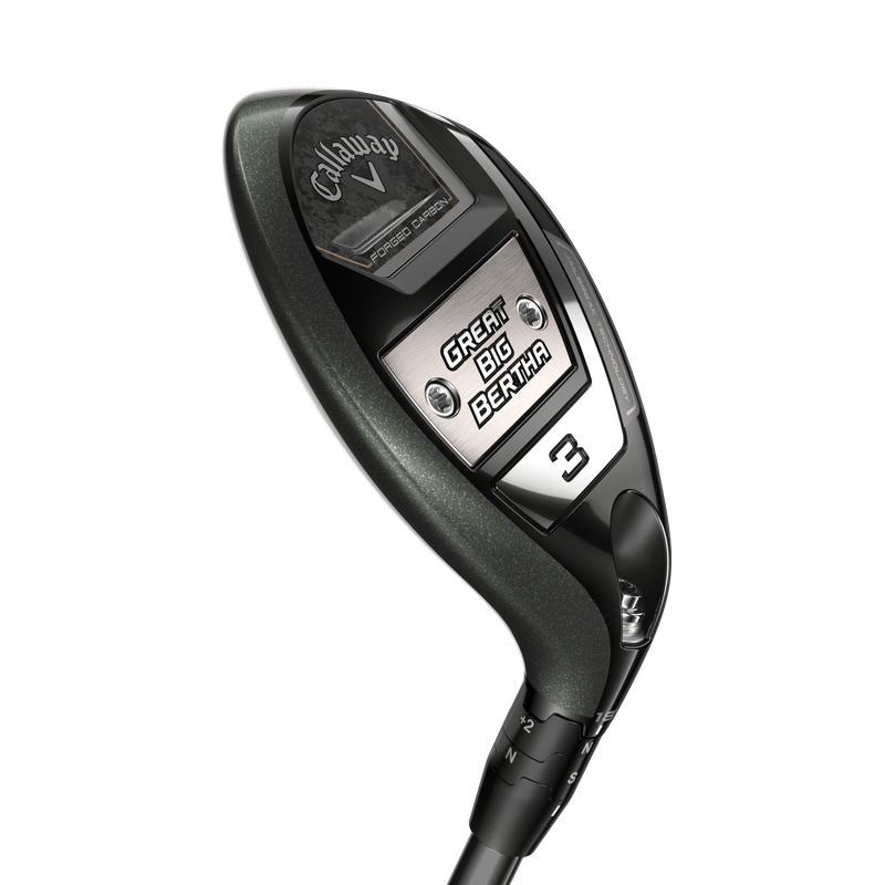 Great Big Bertha Hybrids - View 6