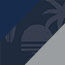 Navy/Sunset Palms/Silver