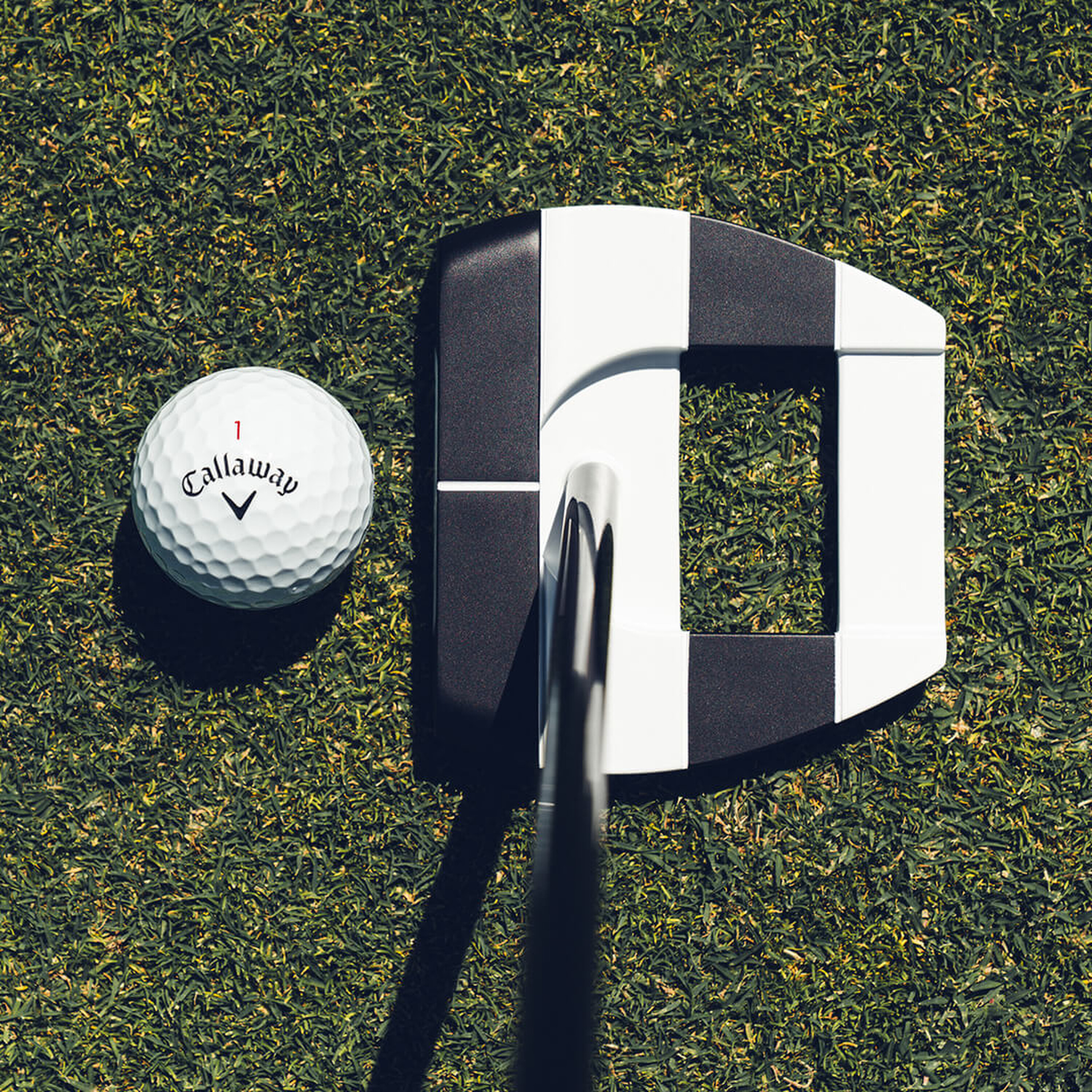 Ai-DUAL Square 2 Square Jailbird Center Shaft Putter image 2