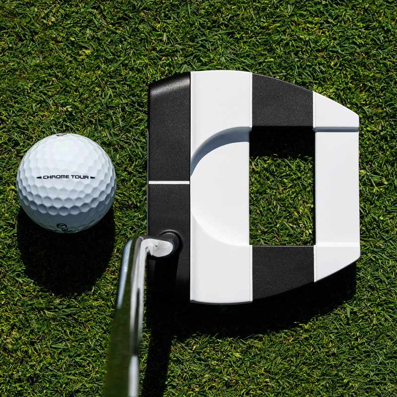 Ai-DUAL Jailbird Cruiser DB Putter - View 2