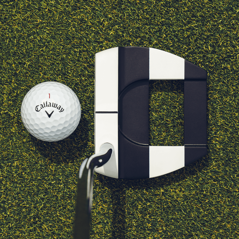 Ai-DUAL Jailbird Mini Putter - View 2