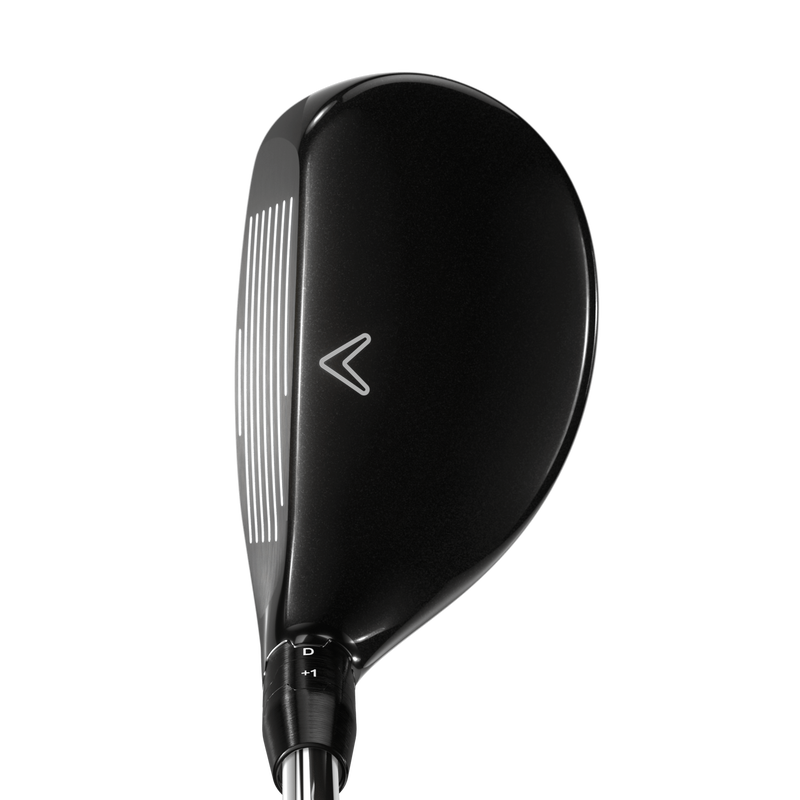 Big Bertha Hybrids - View 2