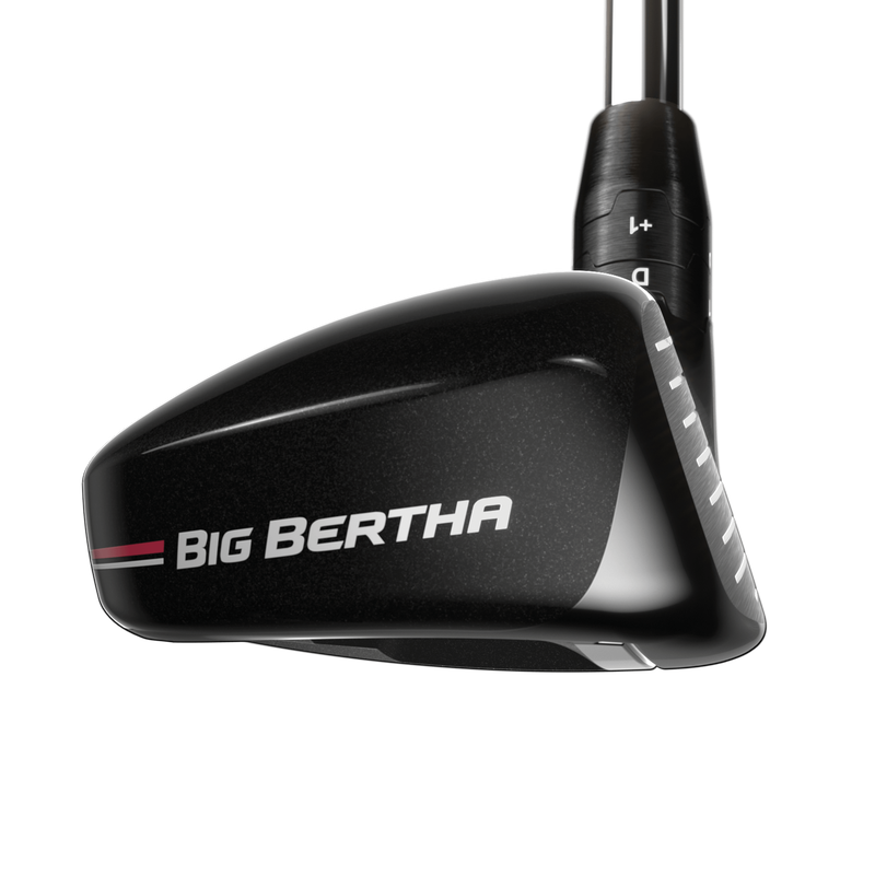 Big Bertha Hybrids - View 3