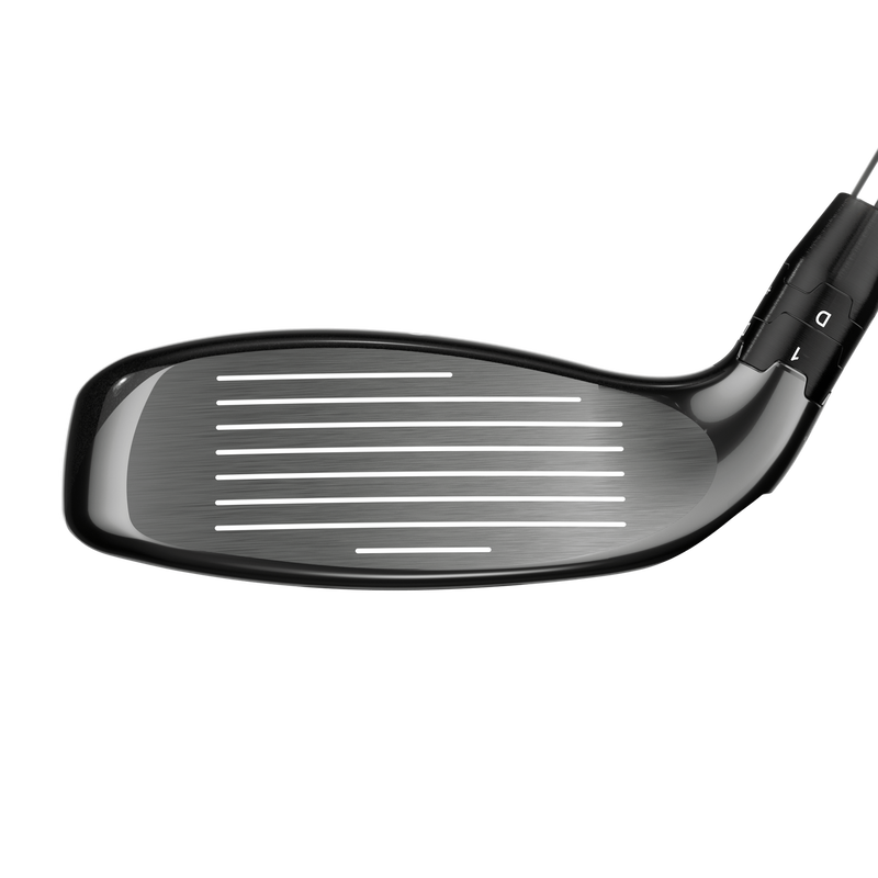 Big Bertha Hybrids - View 4