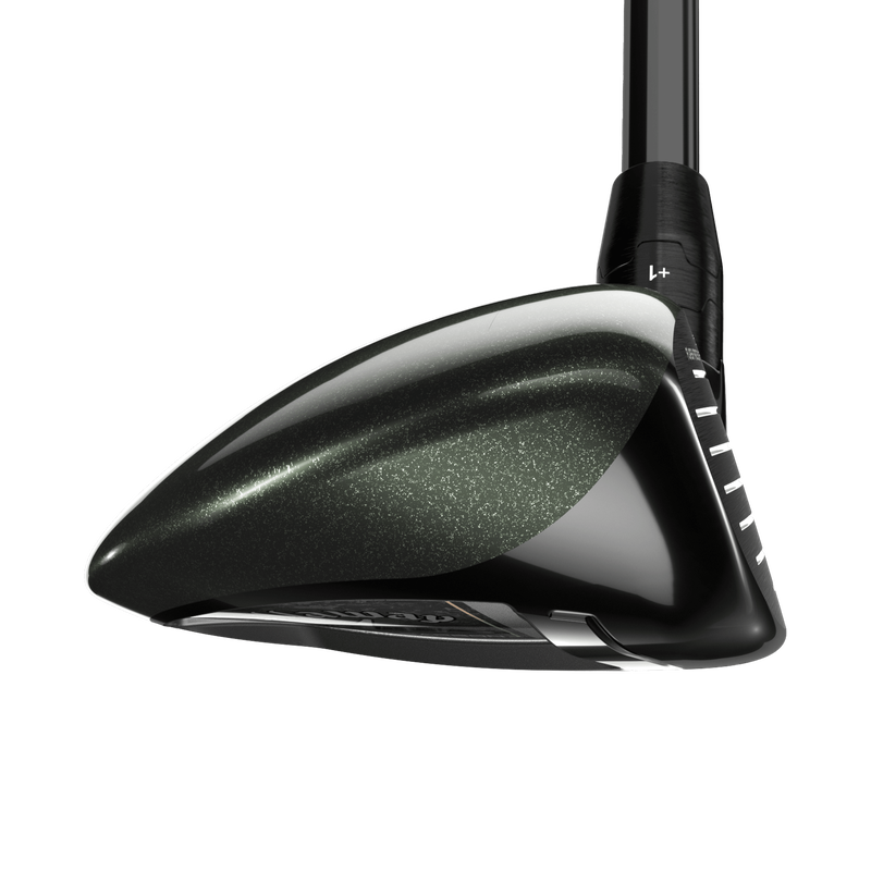 Great Big Bertha Hybrids - View 3