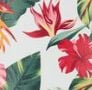 Green Tropics