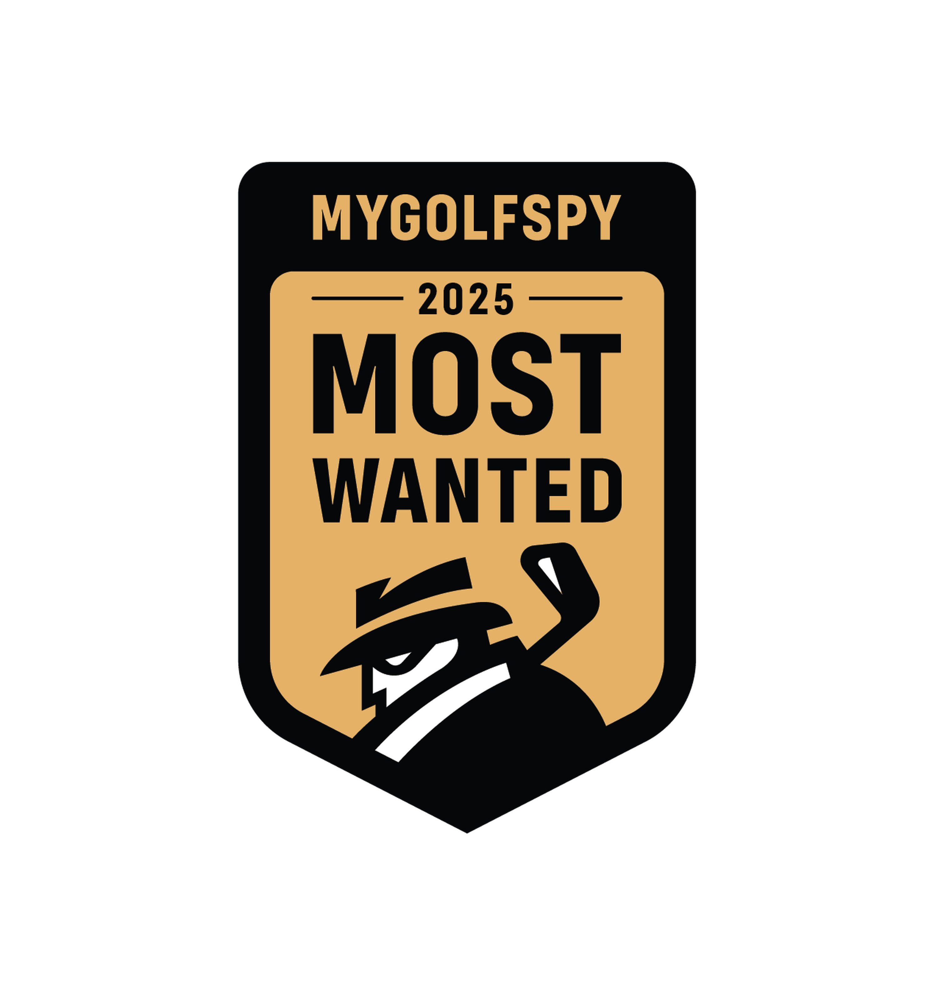 Product awards badge