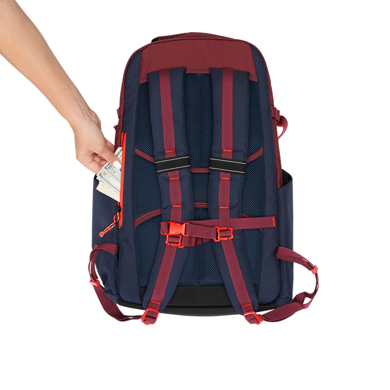 Sac &agrave; dos Alpha 25L - View 10