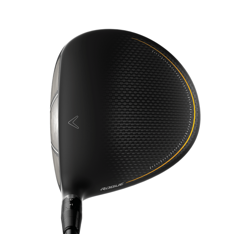 Conducteur Rogue ST '24 MAX - View 2