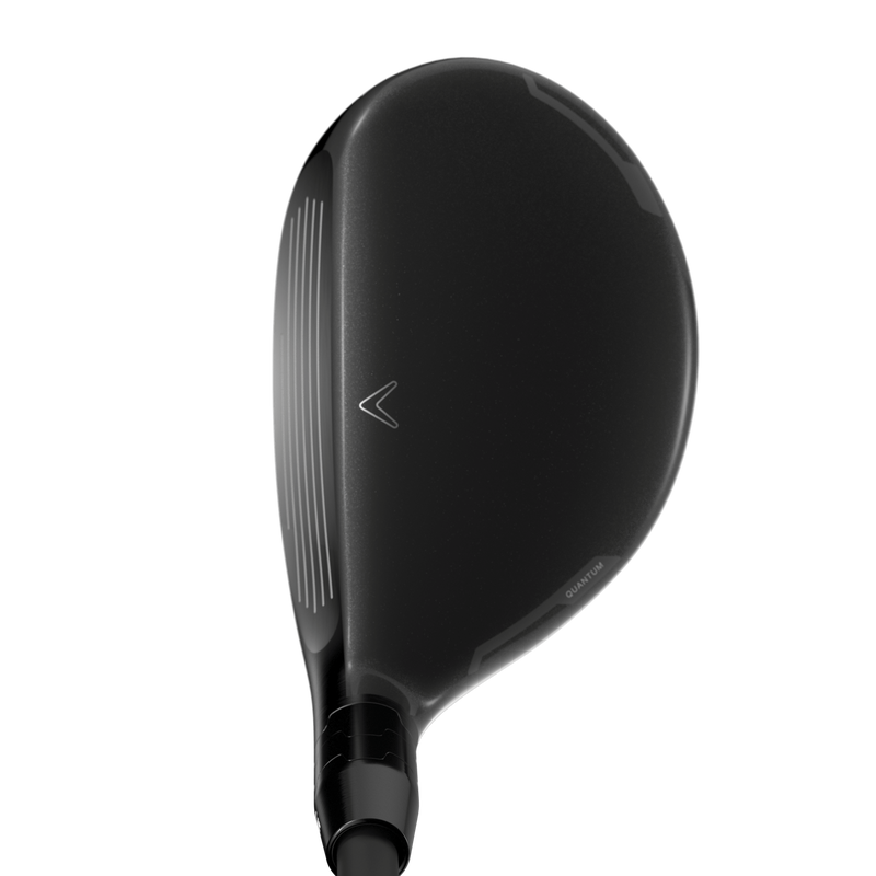 Quantum Max Fast Hybrids - View 4