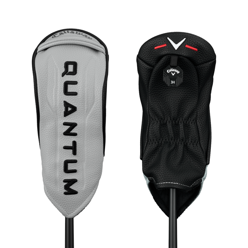 Quantum Max Fast Hybrids - View 9