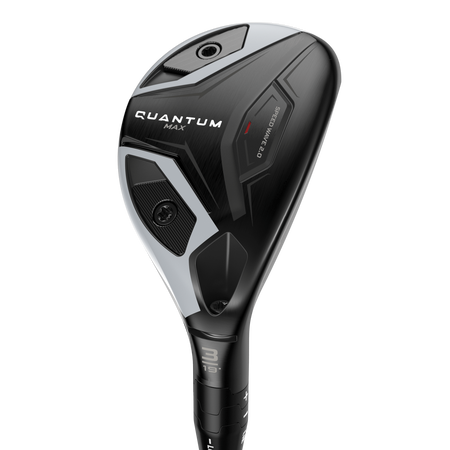 Quantum Max Hybrids