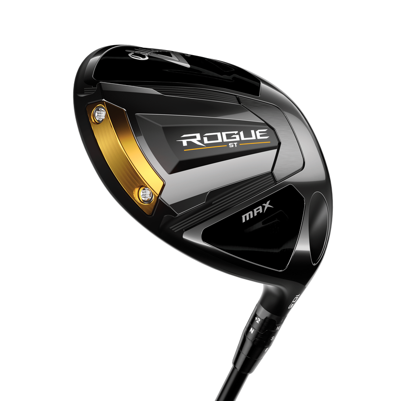 Conducteur Rogue ST '24 MAX - View 5