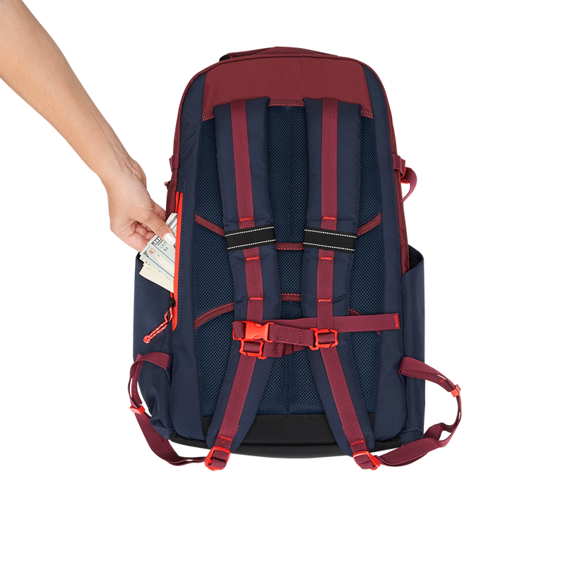 Sac &agrave; dos Alpha 25L - View 10