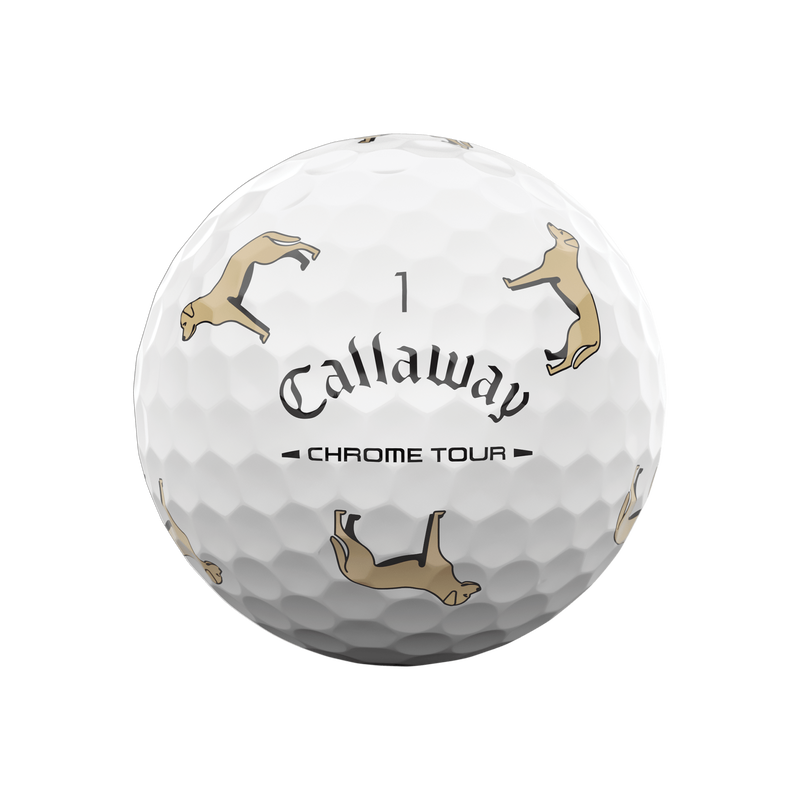 Chrome Tour Yellow Lab Dog Golf Balls - View 3