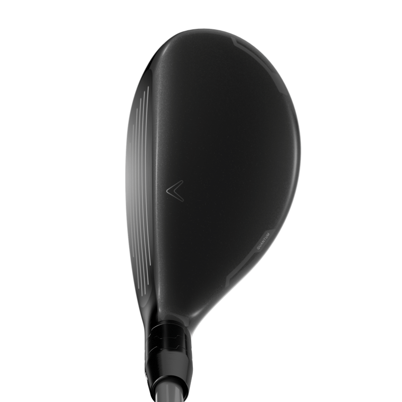 Quantum Max Hybrids - View 4