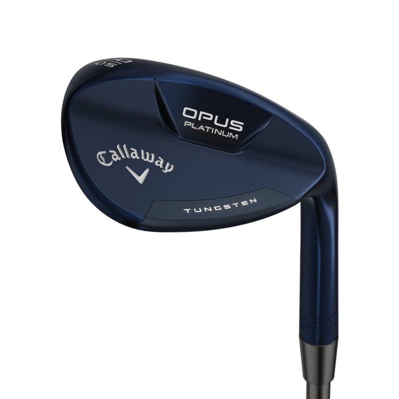 Wedges Opus Platinum Blue - View 1